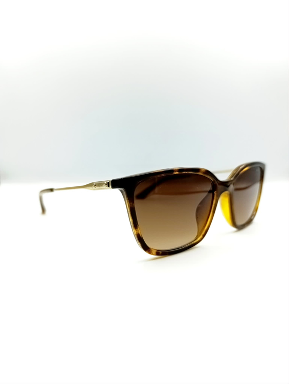 Εικόνα της AX4171SU 821313 ARMANI EXCHANGE ΣΥΜΙΚΤΟ ΗΛΙΟΥ ΓΥΝΑΙΚΕΙΟ